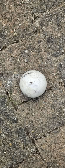 Photo of free Kids hockey sticks with ball (Osidge N14) #3