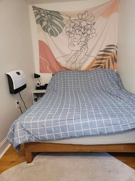 Photo of free Full mattress and bedframe (Somerville) #2