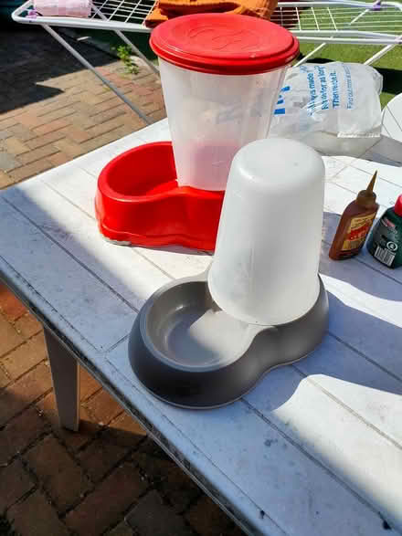 Photo of free Cat items (isleworth) #2