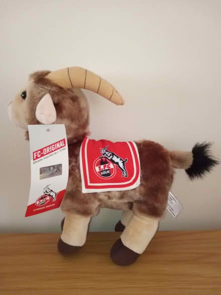 Photo of free New 1. FC Köln Football Mascot (Elvaston Meadows DE72) #1