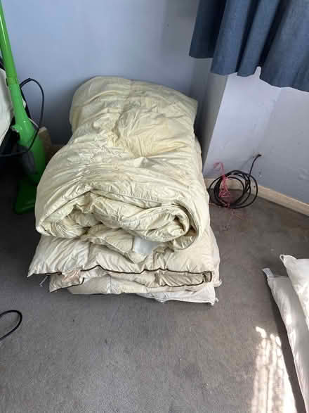 Photo of free Old duvets for pet bedding? (Bedfont TW14) #1