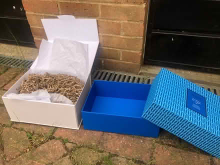 Photo of free Two empty beauty boxes (Whitehill SG4) #1