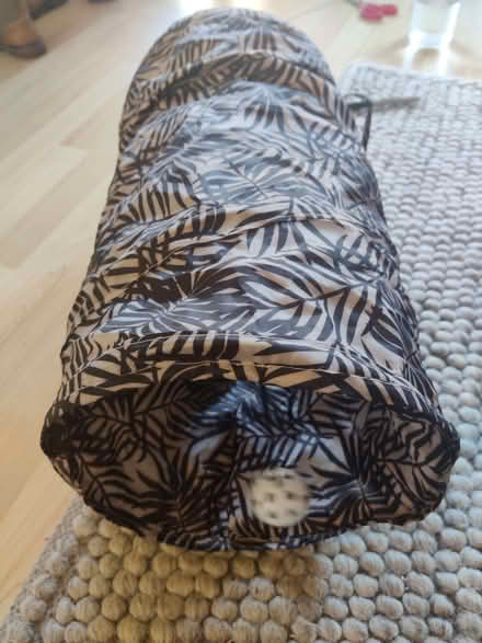 Photo of free cat tunnel (Cogges OX28) #2