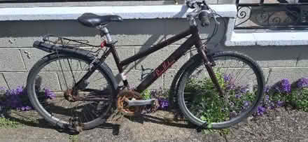 Photo of free Women's bike (Donaghmede, Dublin 13) #1