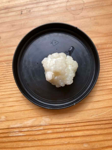 Photo of free Starter kefir floret for making kefir at home (Fountainbridge EH3) #1