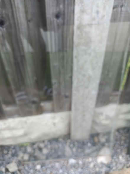 Photo of free Panes of glass x4 (Sheffield S5 Ecclesfield) #2