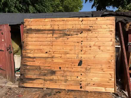 Photo of free Shed panels (Dunstable) #4