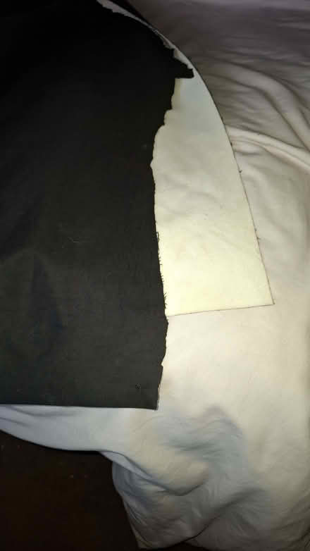 Photo of free Large piece of blackout material (Petersfield GU32) #1