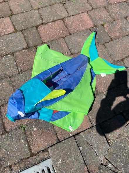 Photo of free Fish kite (Cheam SM2) #1