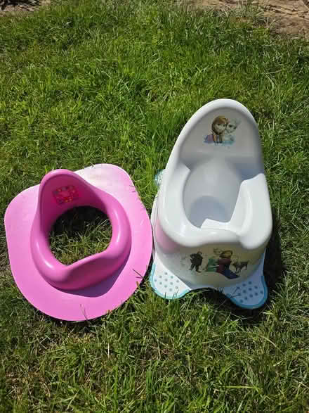 Photo of free Toddler toilet seat and potty (Wimborne) #1