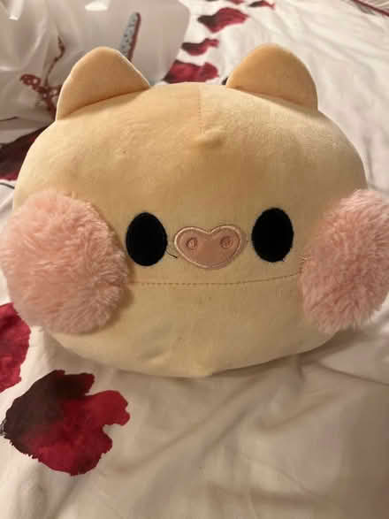 Photo of free Piggy squish mallow (Shephall SG2) #1