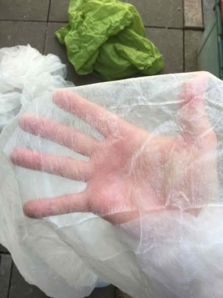 Photo of free Garden netting and fleece (Ibstock LE67) #4