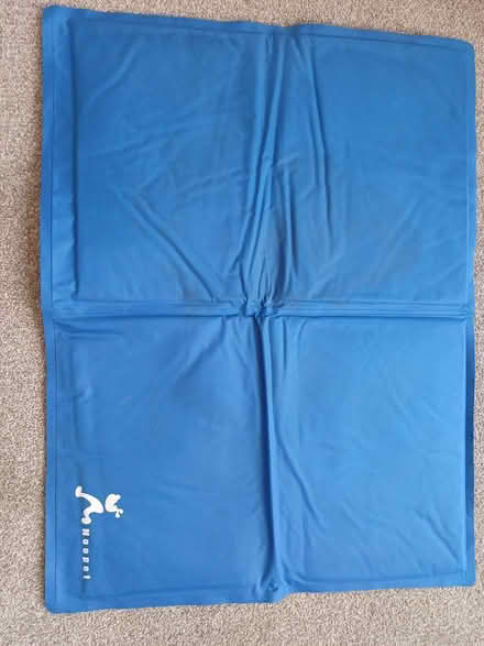 Photo of free Dog cooling mat (Wallasey CH45) #1