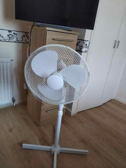 Photo of free 40cm pedestal fan (Little Baddow CM3) #1