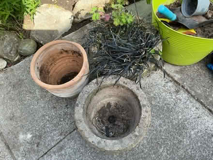 Photo of free Concrete planters (Liverpool 13 /Stoneycroft) #2