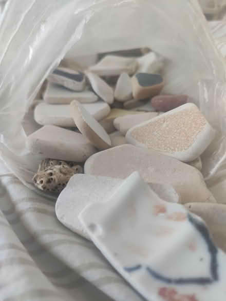 Photo of free Ceramic Pieces - Beach-Combed (Carlin How TS13) #3