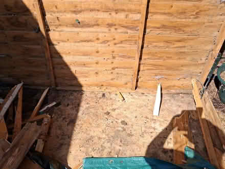 Photo of free Rear shed panel (Swinton (M27)) #2