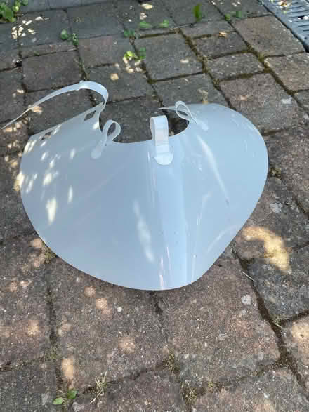 Photo of free Cone for medium dog (Cheam SM2) #1