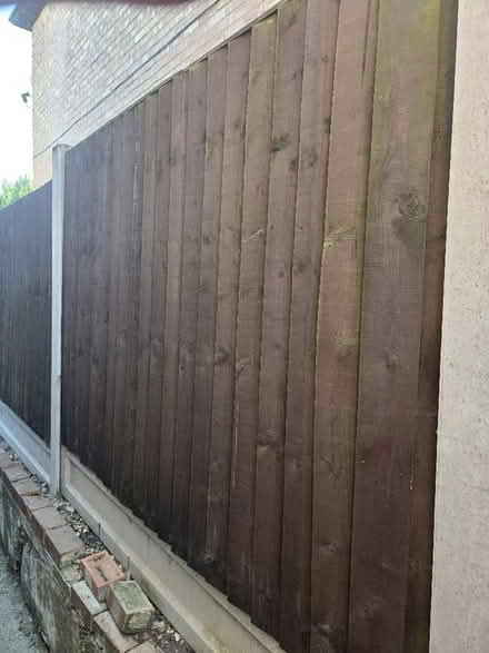 Photo of free Wooden fence panels (Bexleyheath DA6) #1