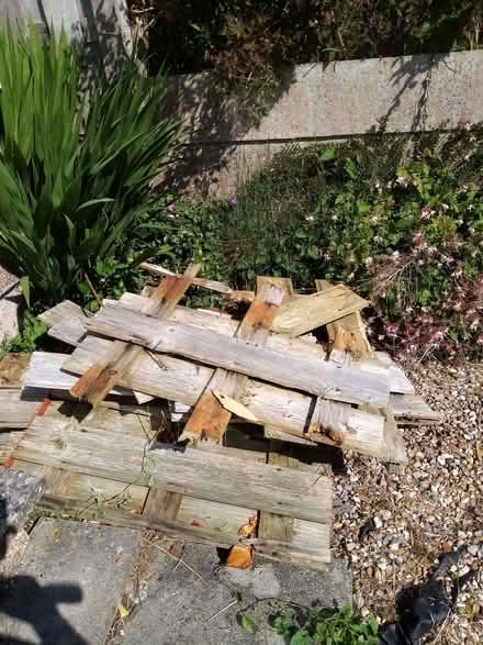 Photo of free Wood (Heysham Village LA3) #1