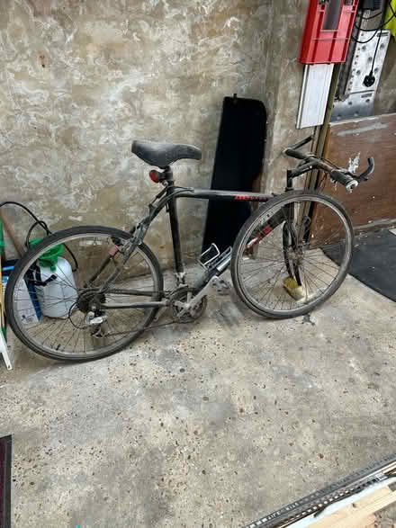 Photo of free Muddy Fox Aly Sport (Saltdean BN2) #1