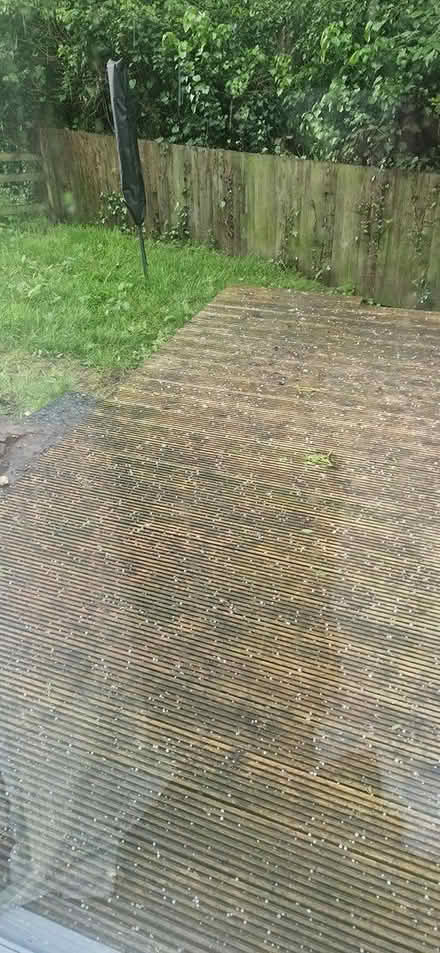 Photo of free decking (HX3) #3