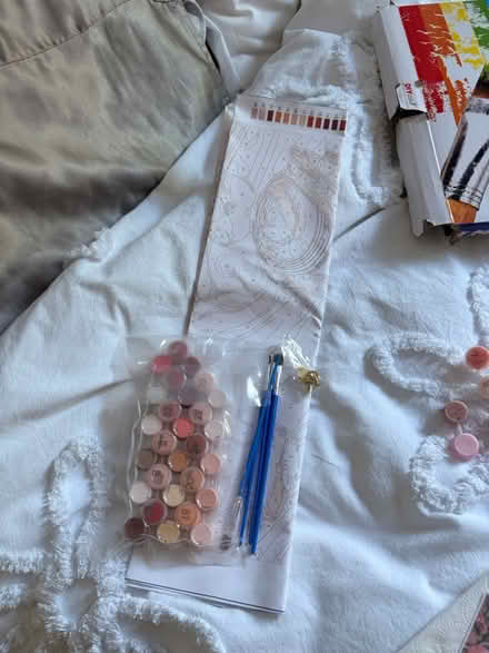 Photo of free Paint by numbers (Shirley CR0) #3