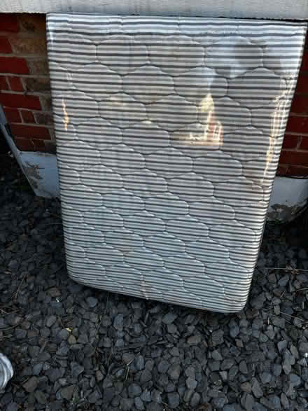 Photo of free Single fold up bed (West Norwood SE19) #1