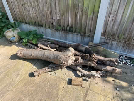 Photo of free Logs (CT9 5) #1