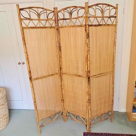 Photo of free Tall bamboo screen (Elmstead BR7) #1