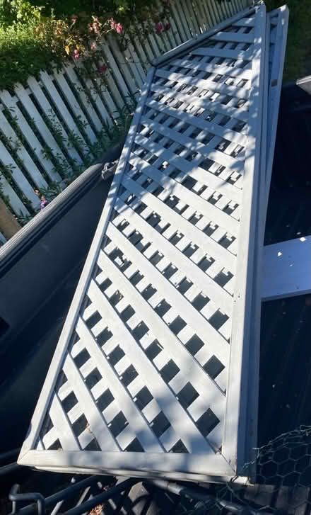 Photo of free Lattice Panels (San Anselmo) #2