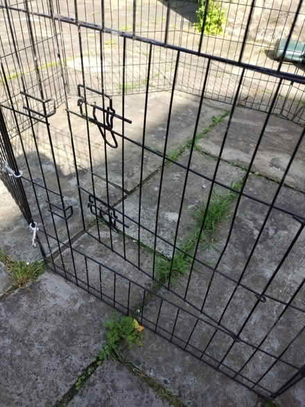 Photo of free Dog Pen (Caton LA2) #3