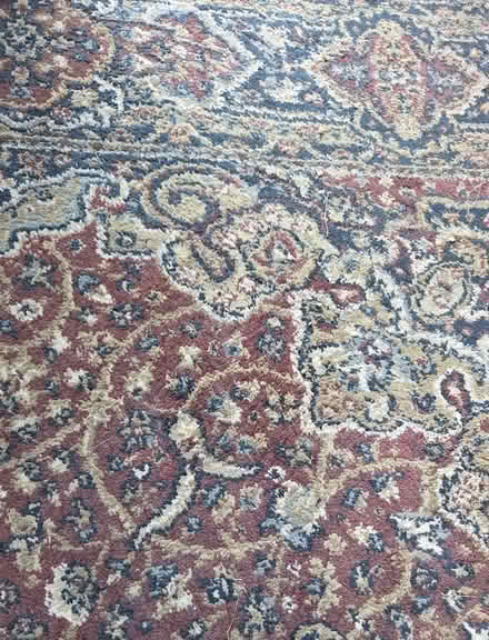 Photo of free Rug (Frenchay BS16) #2
