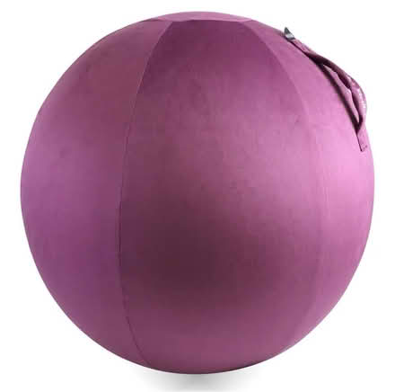 Photo of free Exercise ball & velvet cover (Se15) #3