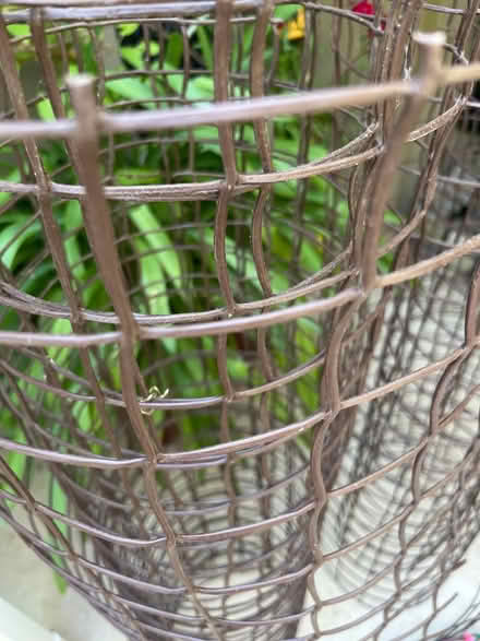 Photo of free Plastic bean support (Teddington TW11) #2