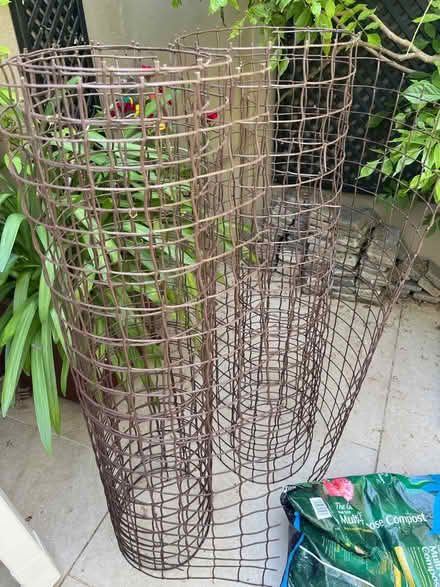 Photo of free Plastic bean support (Teddington TW11) #1