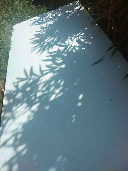 Photo of free Wall insulation foam (Saltdean) #1