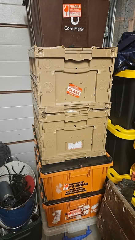 Photo of free Clam lid boxes (Longtown. Carlisle) #1