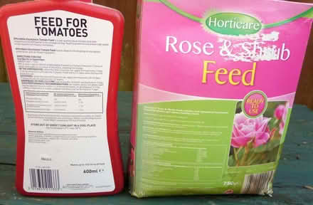 Photo of free Rose and shrub feed (Bridlington YO16) #1