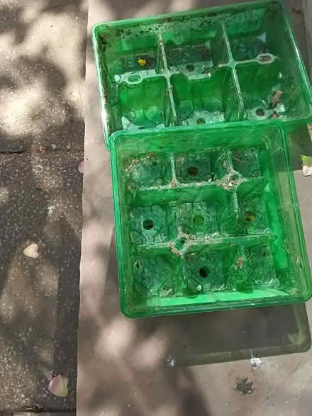 Photo of free Seedling trays (N17 turnpike lane) #2