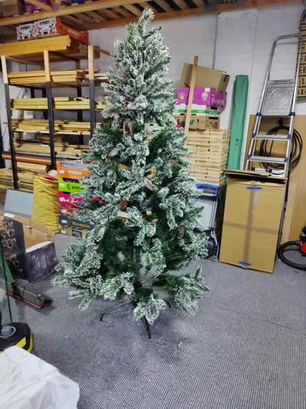 Photo of free Christmas tree (birstall LE4) #1