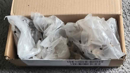 Photo of free A variety of bulbs to plant (Boothtown HX3) #2