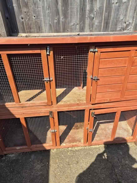 Photo of free Rabbit hutch (Grove OX12) #1