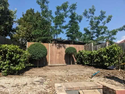 Photo of free GREEN HEDGES - Kingsbury (NW9) #1