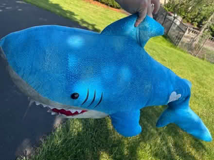 Photo of free Large Shark Plush (Center Valley, PA) #1