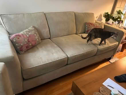 Photo of free taupe, sofa, 87" x 38" deep (East Pasadena) #1