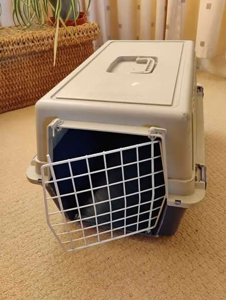 Photo of free Cat/small pet carrier (Shard End B36) #1