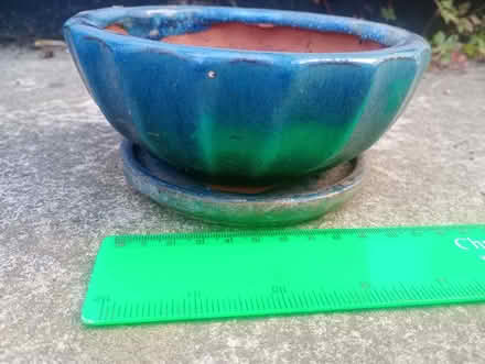 Photo of free Small bonsai pots (Rudloe SN13) #3