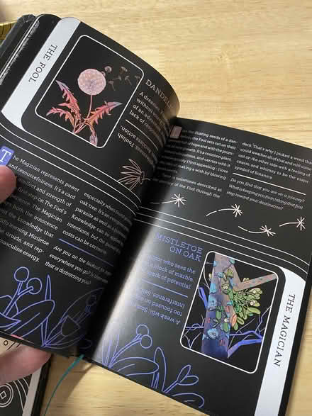 Photo of free Botanica Tarot Card Deck w/ Book (Near Parkville High School) #3