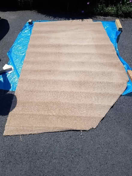 Photo of free carpet pieces (Calne SN11) #1